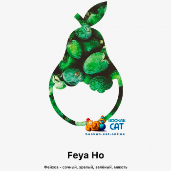 Табак для кальяна MattPear Classic Feya Ho (МэтПир Классик Фейхоа) 250г